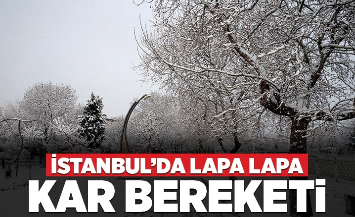 İstanbulda lapa lapa kar bereketi