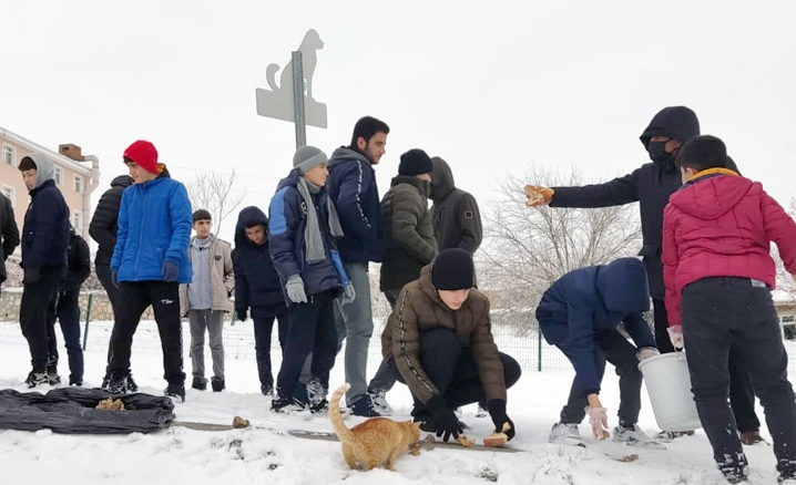 Kuran kursu öğrencileri sokak hayvanları için yem bıraktı